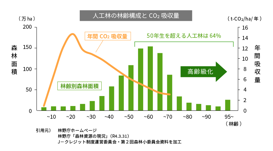 人工林の林齢構成とCO2吸収量